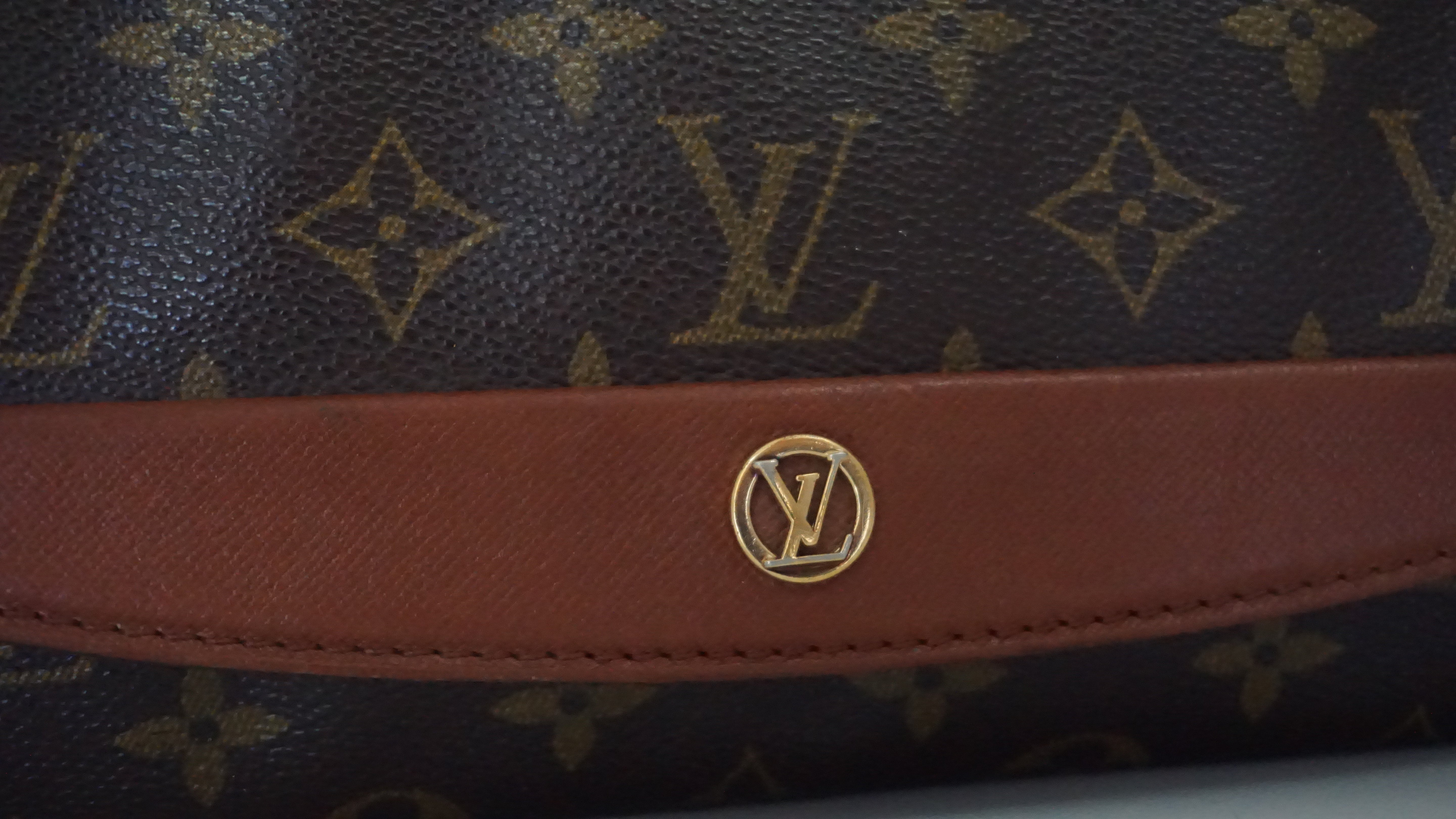 Louis Vuitton Bordeaux Crossbody