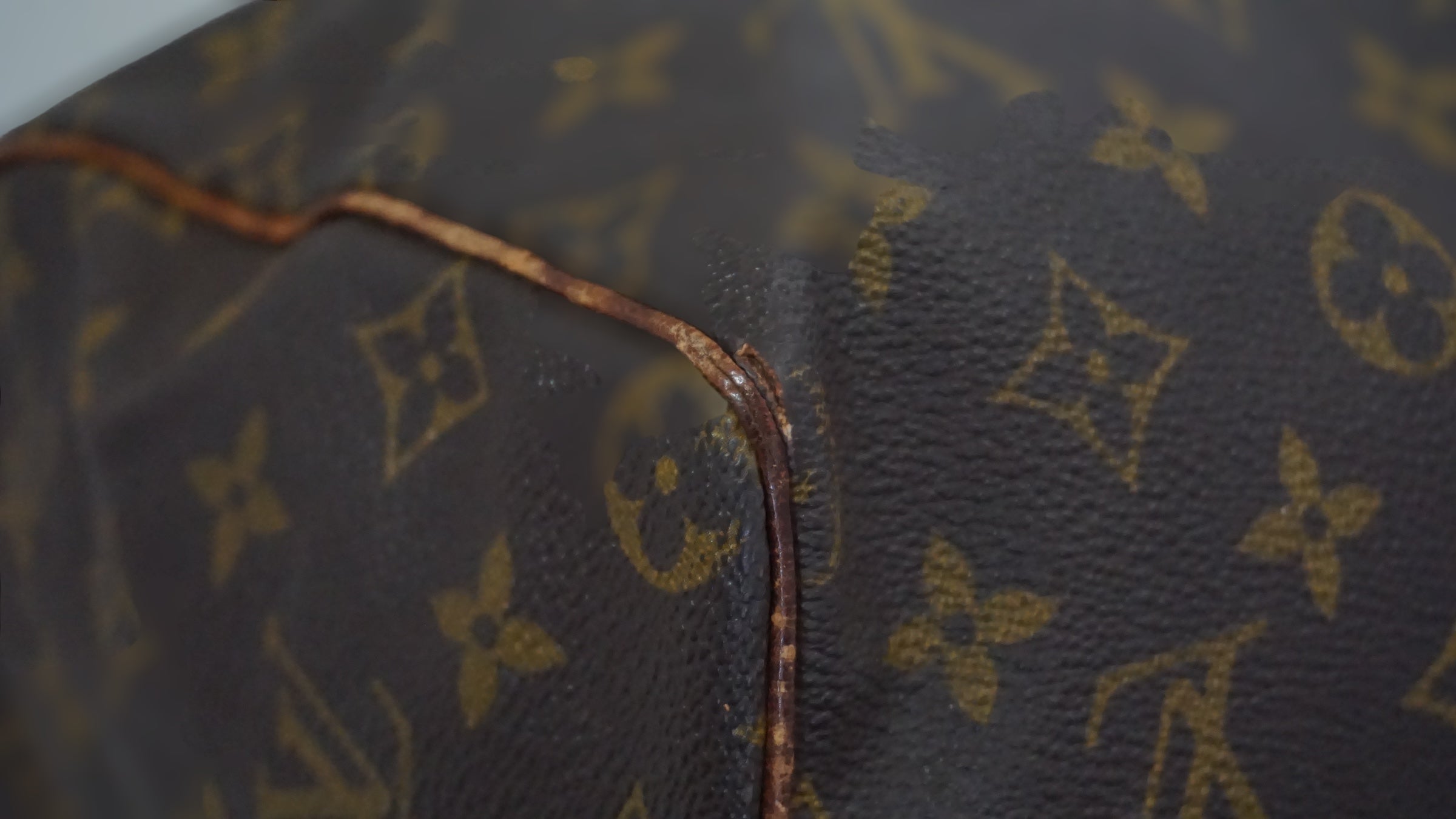 Louis Vuitton Speedy